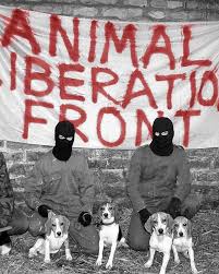 Thumbnail for EP27: Should We Use Violence To Protect Animals? (On Ivar Hardman’s “In Defence of Direct Action”)